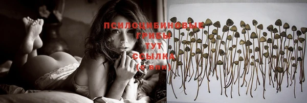 прущие грибы Алексеевка