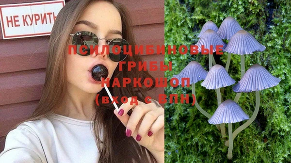 прущие грибы Алексеевка