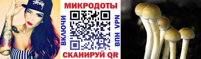 Галлюциногенные грибы Cubensis Биробиджан
